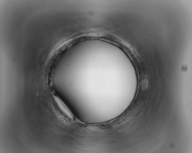 X0000097901448200804111032