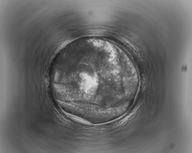 X0000097901449200804111032