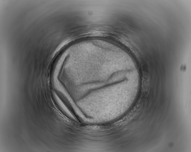 X0000097901450200804111032