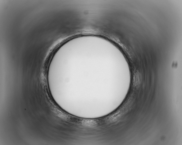 X0000097901454200804111032