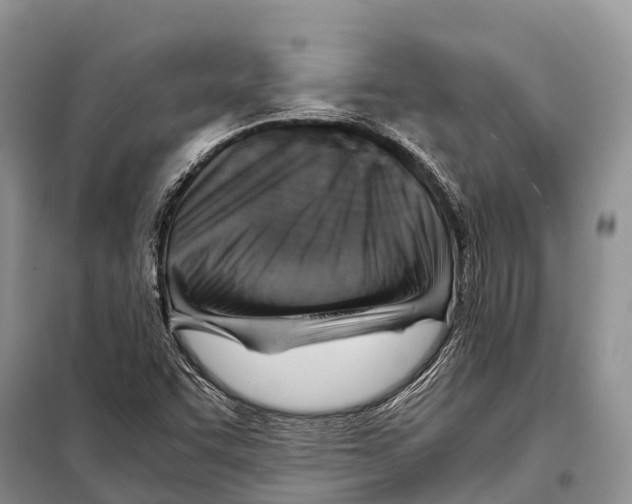 X0000097901455200804111032