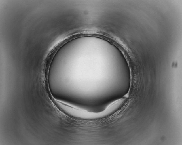 X0000097901456200804111032