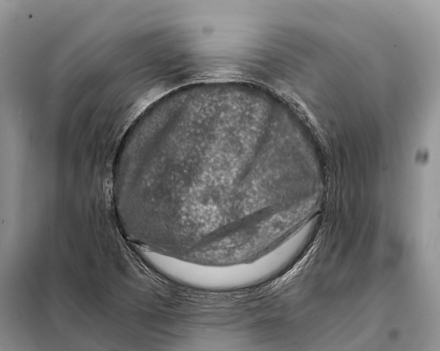 X0000097901457200804111032