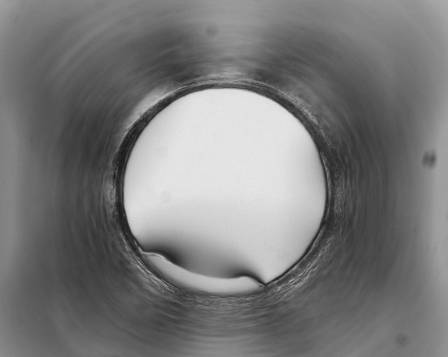 X0000097901458200804111032