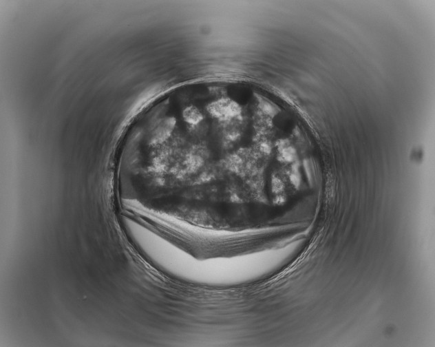 X0000097901459200804111032