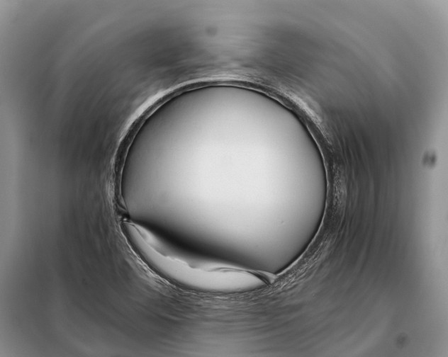 X0000097901460200804111032