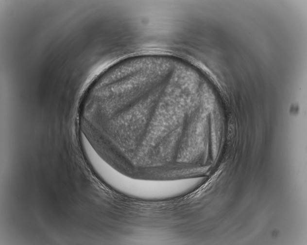 X0000097901461200804111032