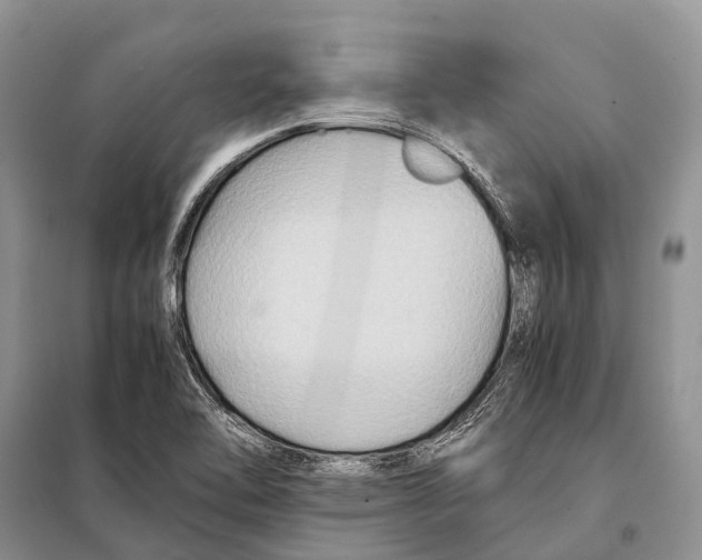 X0000097901462200804111032