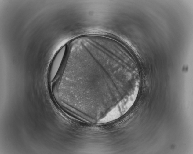 X0000097901463200804111032