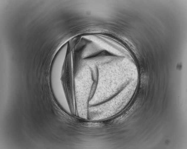 X0000097901465200804111032