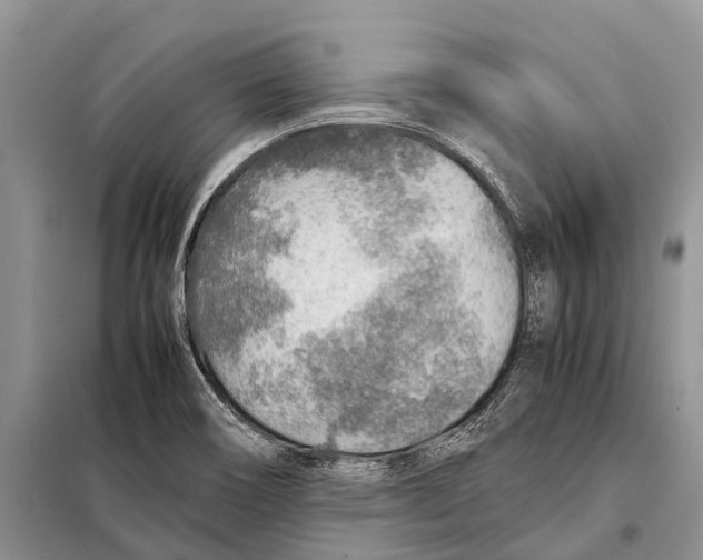 X0000097901466200804111032