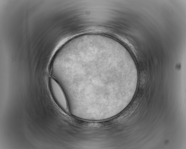 X0000097901467200804111032