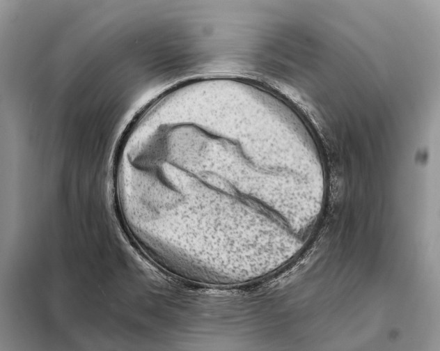 X0000097901469200804111032