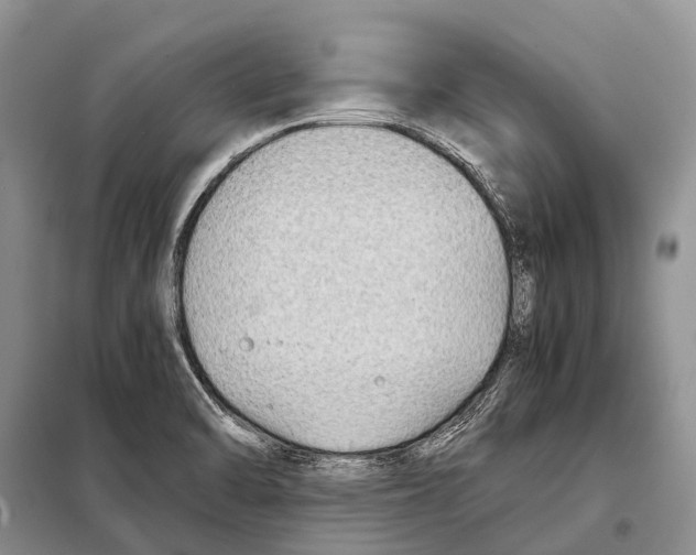 X0000097901470200804111032