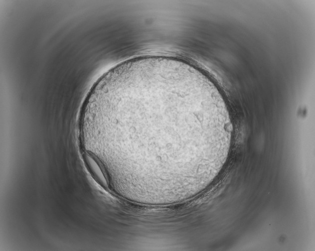 X0000097901471200804111032