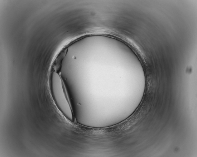 X0000097901472200804111032