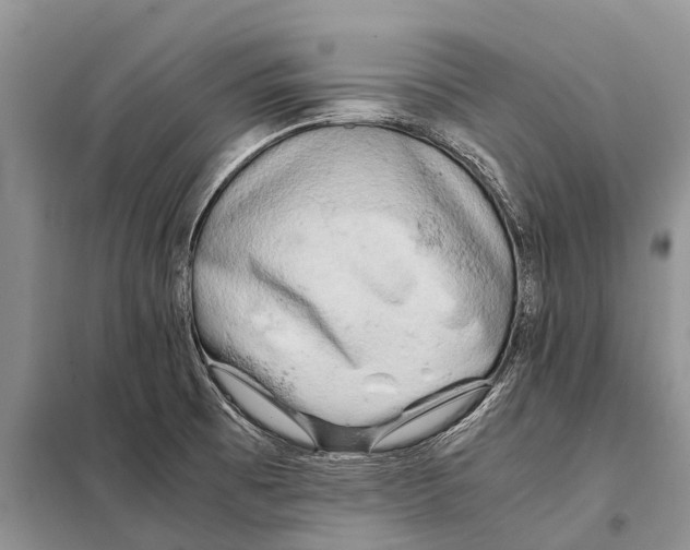 X0000097901473200804111032