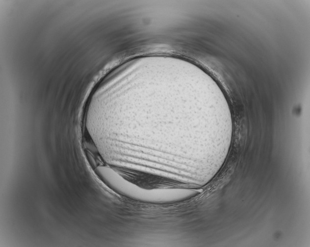 X0000097901475200804111032