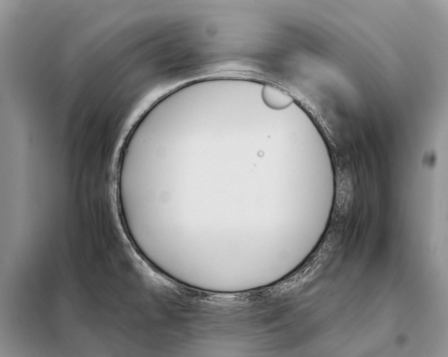 X0000097901478200804111032