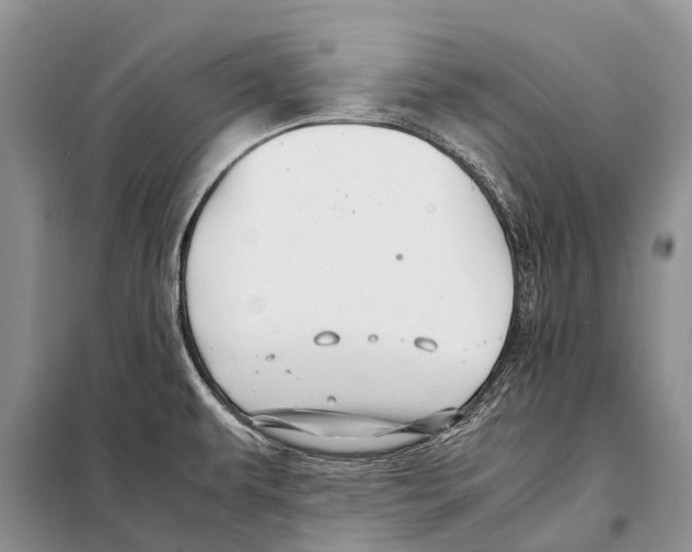 X0000097901479200804111032