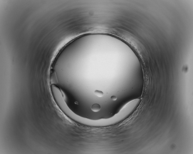 X0000097901480200804111031