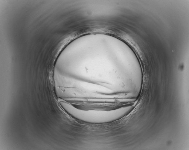 X0000097901481200804111031