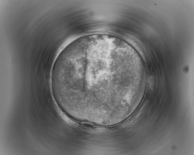 X0000097901482200804111031