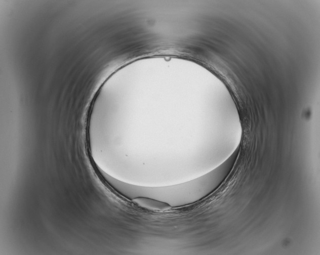 X0000097901483200804111031