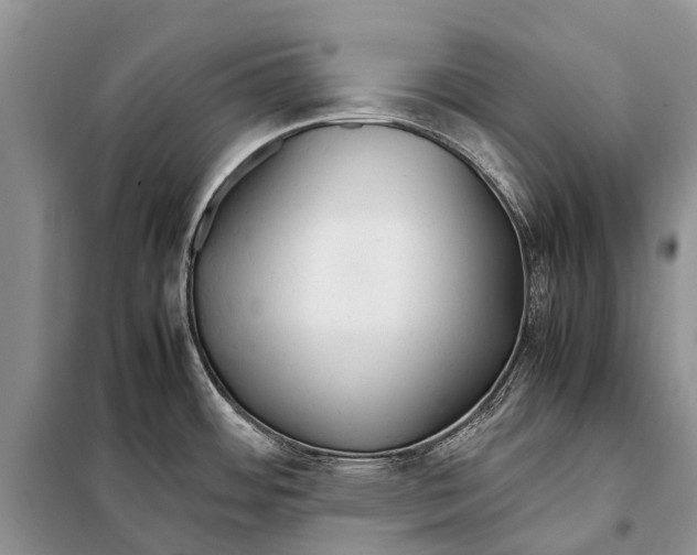 X0000097901484200804111031