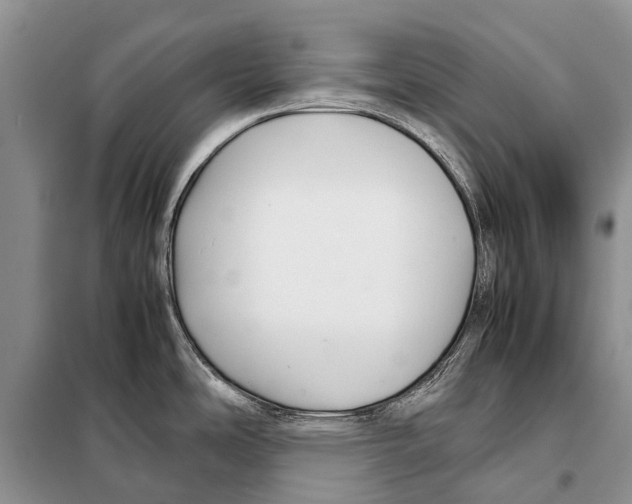 X0000097901486200804111031