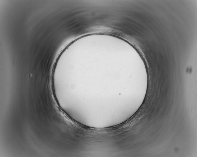 X0000097901488200804111031