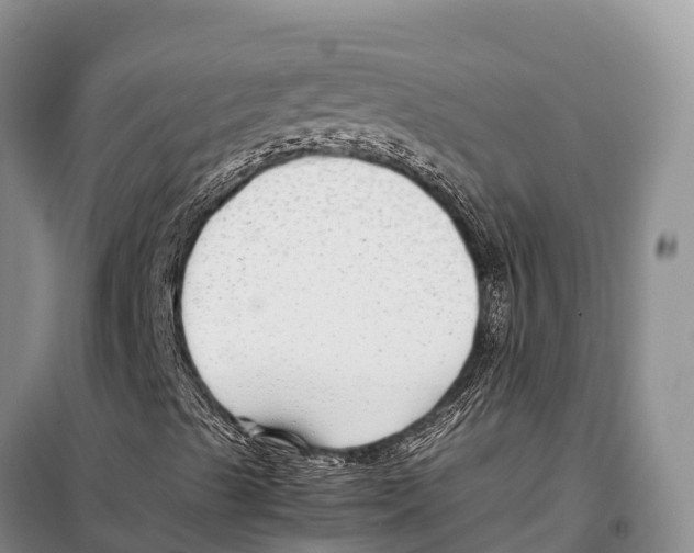 X0000097901489200804111030