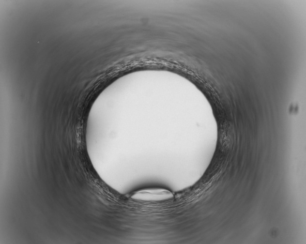 X0000097901490200804111031