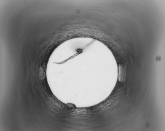 X0000097901491200804111031