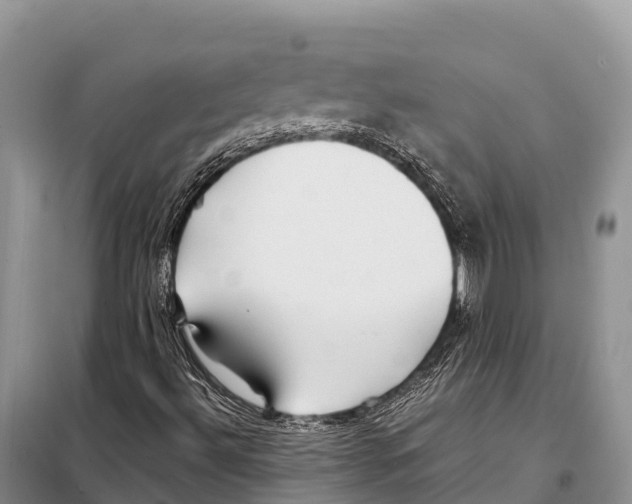 X0000097901492200804111031