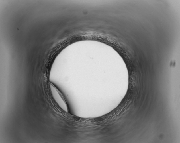 X0000097901493200804111031