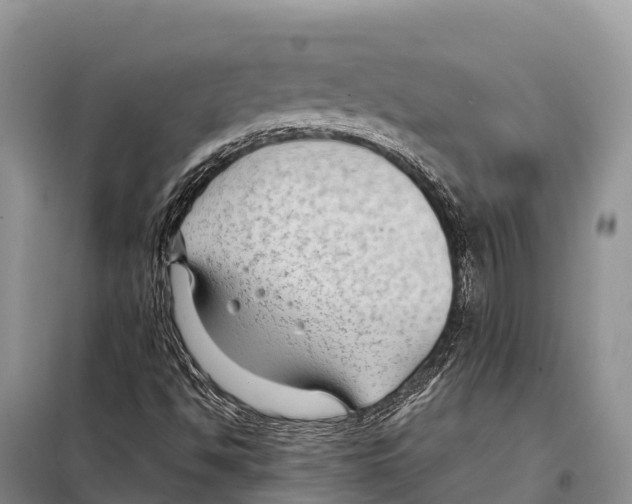 X0000097901494200804111031