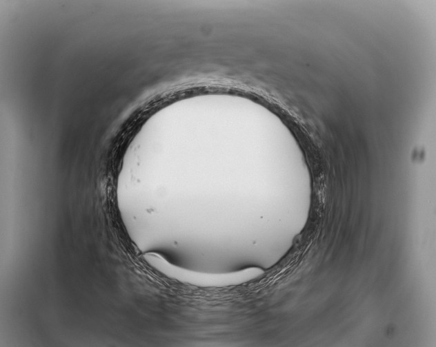 X0000097901495200804111031