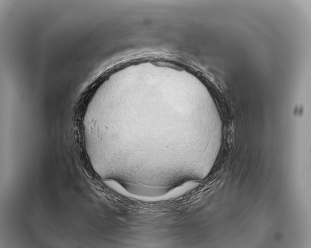 X0000097901496200804111031