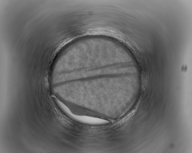 X0000097901497200804111031