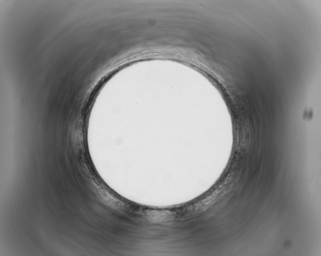 X0000097901498200804111031