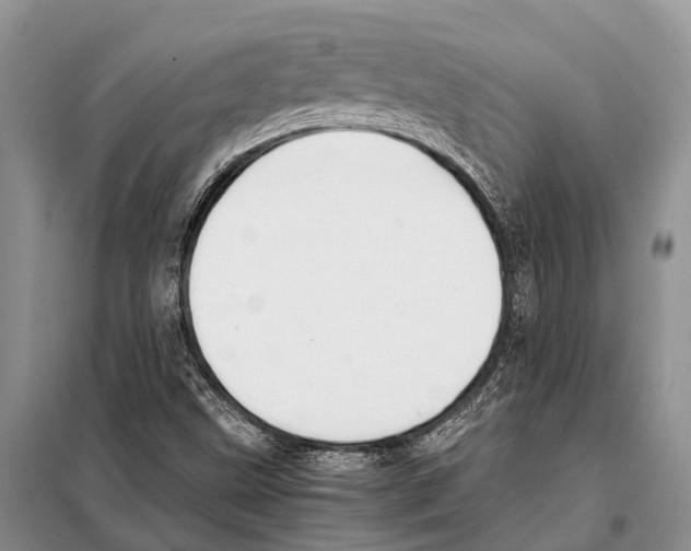 X0000097901499200804111031