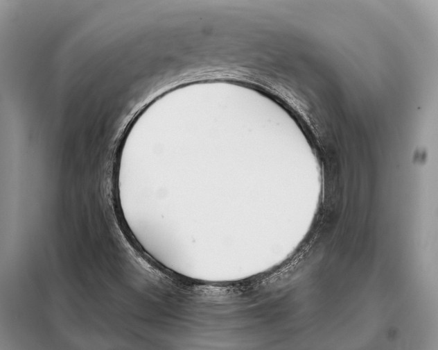 X0000097901500200804111031