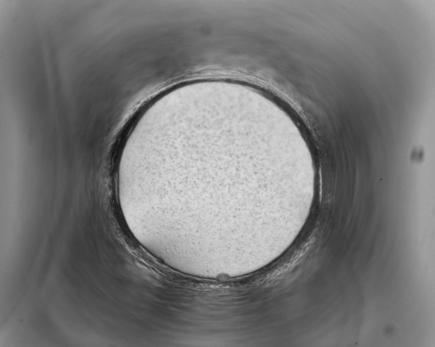 X0000097901501200804111031