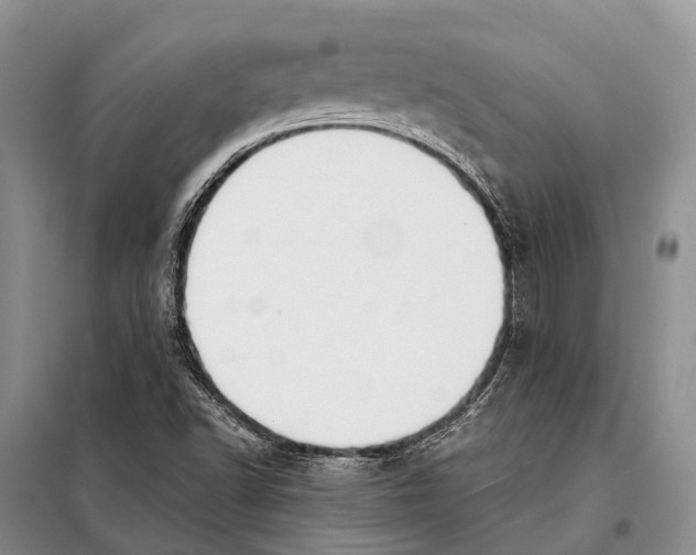 X0000097901502200804111031