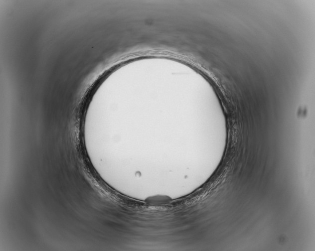 X0000097901503200804111031