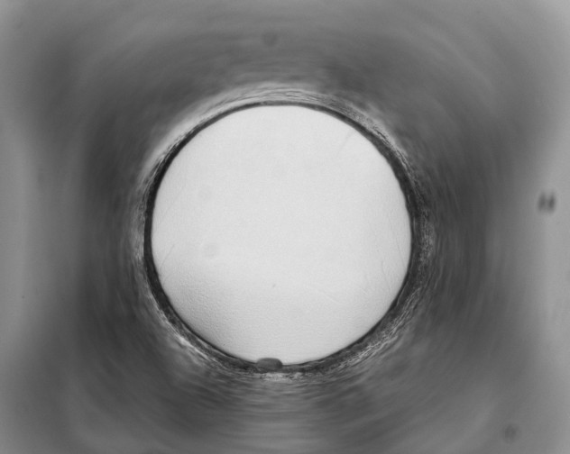 X0000097901504200804111031