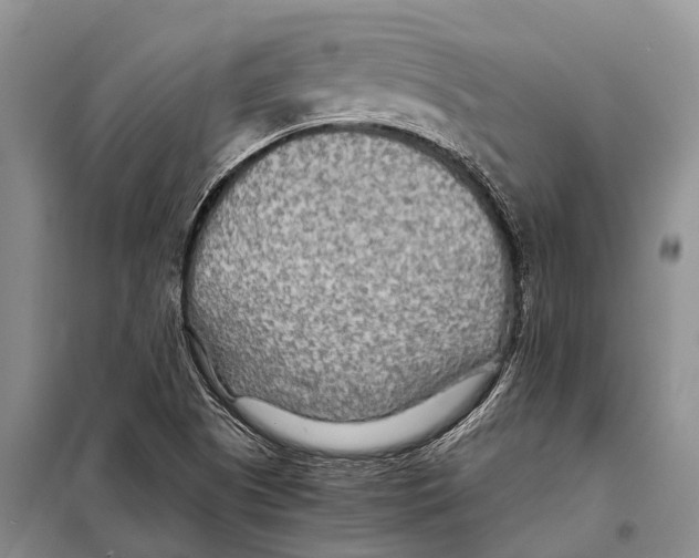 X0000097901505200804111031