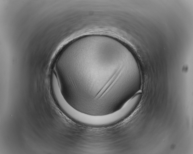 X0000097901506200804111031