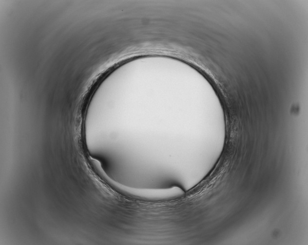 X0000097901507200804111031